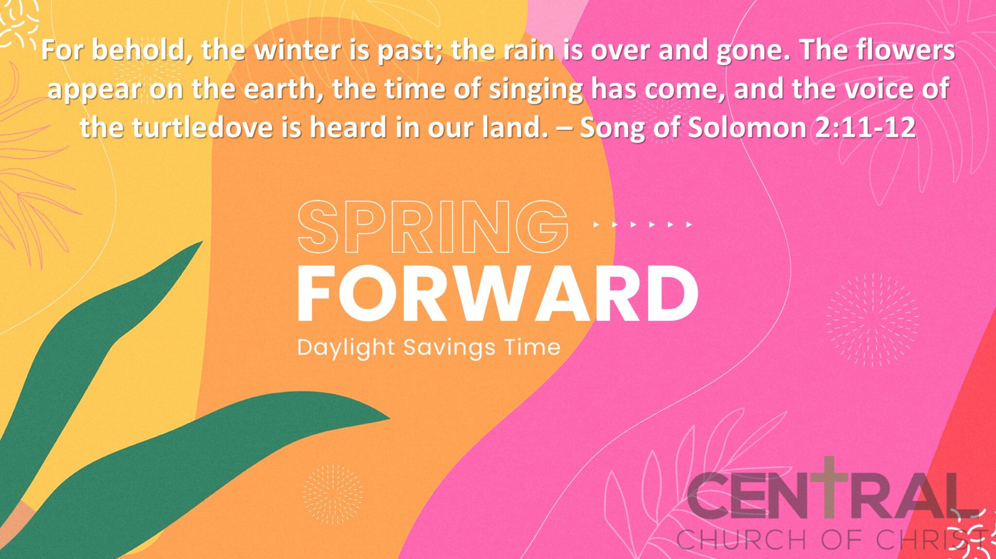 Spring Forward